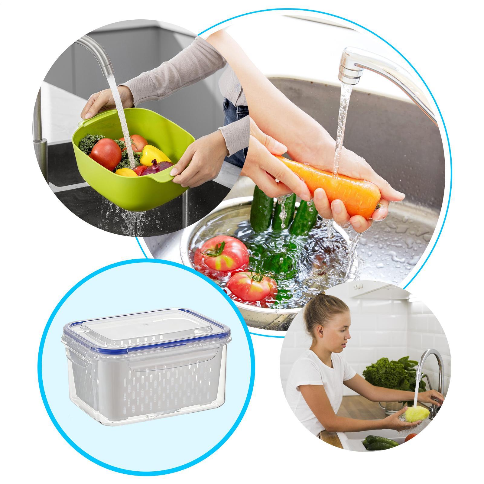 กล่องเก็บอาหาร 4 in 1 กล่องใสก - Food Storage For Refrigerator บทวิจารณ์และราคา