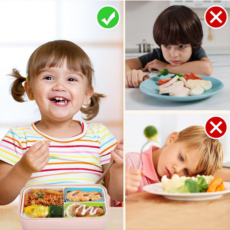 แผ่นกั้นกล่องอาหารกลางวันซิลิโ - Food Storage Heat บทวิจารณ์และราคา