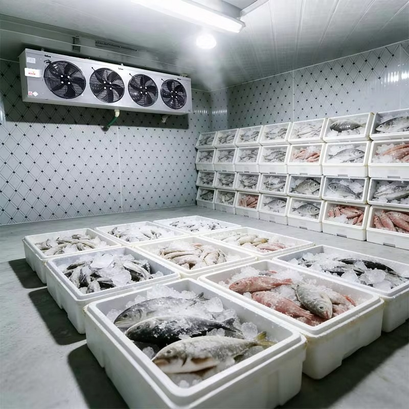 ห้องเย็นเก็บอาหารแบบกำหนดเองได - Food Storage And Safety บทวิจารณ์และราคา
